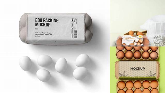 1210+ Egg Packaging Mockup Free Free PSD