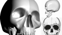 1581+ Skull PSD Mockup Half Side View Fully Customizable Photoshop Freebie