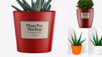 1601+ Matte Plant Pot PSD Mockup Fully Layered PSD Freebie