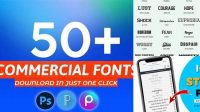 1619+ Script Font Pack Zip For Free Download