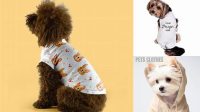 1631+ Dog Clothes Mockup Free PSD Download