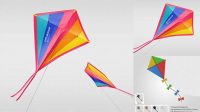 2437+ Kite Mockup Include TIFF