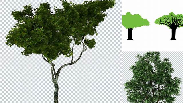 2476+ Mockup Tree Free Graphic Resource