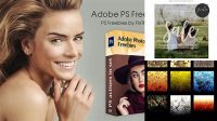 258+ 6 Versatile Photoshop Freebie