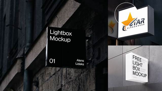 2716+ Lightbox Mockup Free High-Quality PSD Files