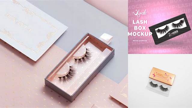 2768+ Lash Box Mockup Download Now Free PSD Template