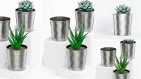 2955+ Metallic Plant Pot PSD Mockup Modern Photoshop Resource