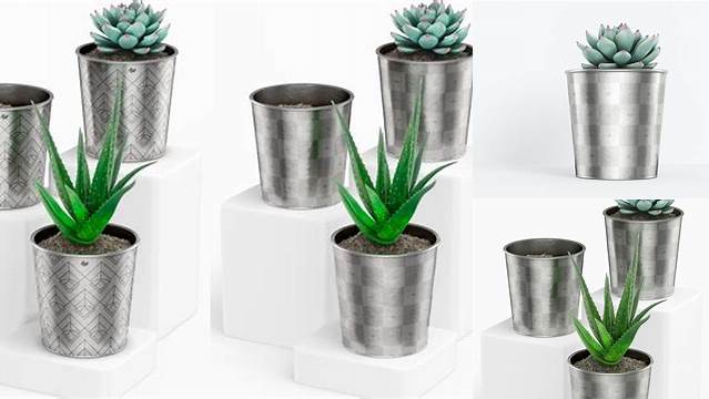 2955+ Metallic Plant Pot PSD Mockup Modern Photoshop Resource