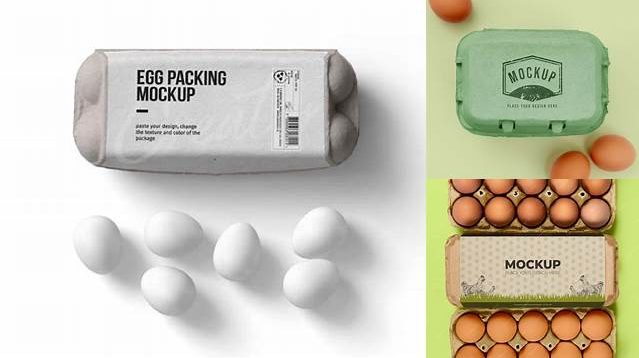 2982+ Egg Packaging Mockup PSD Free Download