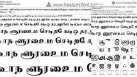 3596+ Tamil Fonts Download Drive Zip Digital Download