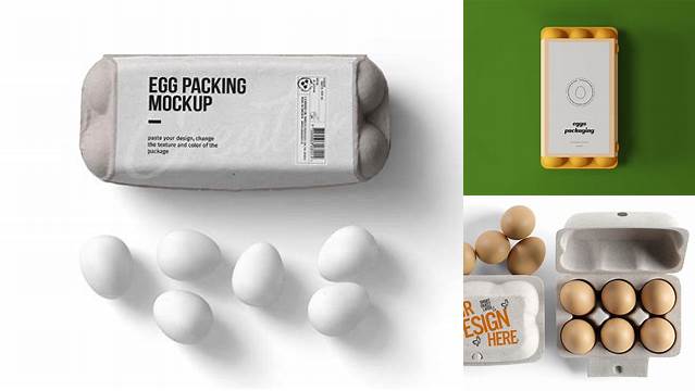 3850+ Egg Box Mockup Free Download Free