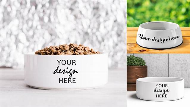 4183+ Pet Bowl Mockup Digital Download