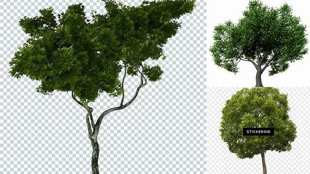 4244+ Mockup Tree High Resolution