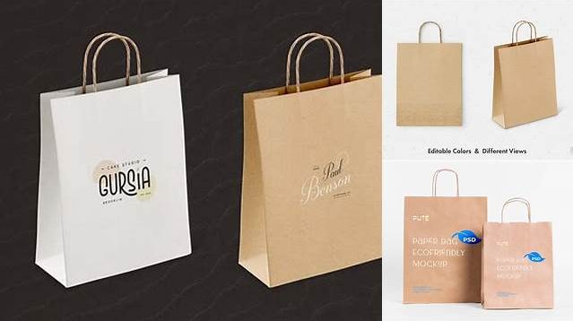 4303+ Two Paper Bags PSD Mockup Half Side View Creative Digital PSD Download