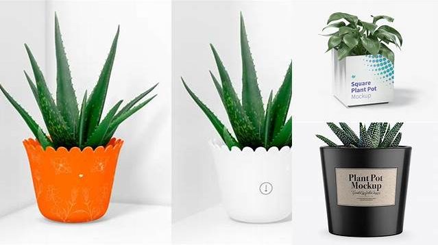 431+ Glossy Plant Pot PSD Mockup Fully Layered PSD Freebie