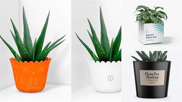 431+ Glossy Plant Pot PSD Mockup Fully Layered PSD Freebie