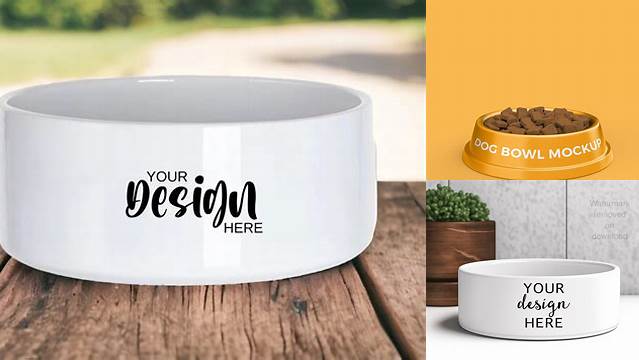 449+ Dog Bowl Mockup Digital Download