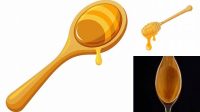 4628+ Wooden Spoon With Honey Advanced Photoshop Design Free