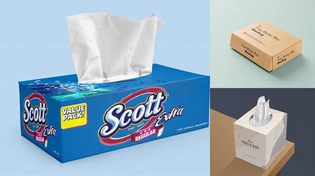 4953+ Mailer Box Tissue Paper Mockup Set PSD Download