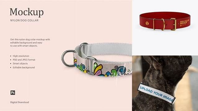 5636+ Matte Dog Collar PSD Mockup Front View High-Angle Shot Creative Design Mockup