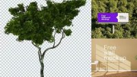 5961+ Mockup Tree Exclusive Free PSD Mockups