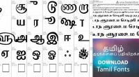 5983+ All Tamil Fonts Download Drive Zip Best for Showcase