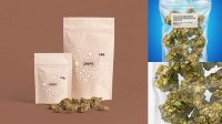 6011+ Weed Bag Mockup Professional Design PSD