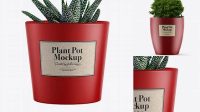 6285+ Matte Plant Pot PSD Mockup Smart Object PSD Free Resource