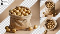 6289+ Net Bag With Potato Download Free Editable PSD Template