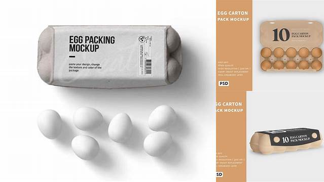 639+ Egg Carton PSD Mockup Exclusive PSD Design Freebie