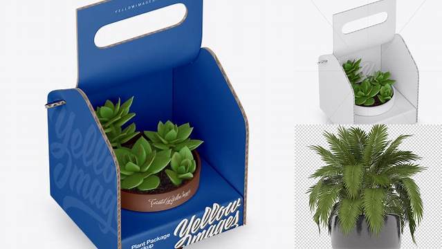 6566+ Box with Plant PSD Mockup Half Side View High-Resolution Editable PSD