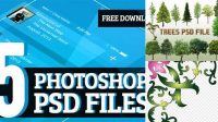 6575+ 2xdowland PSD File Download