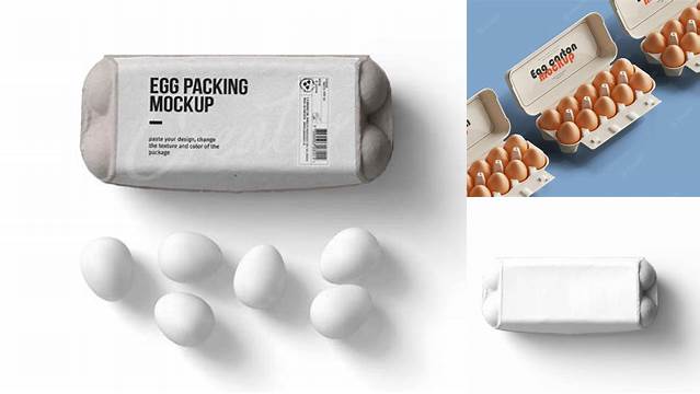 6601+ Egg Carton Mockup PSD File Download