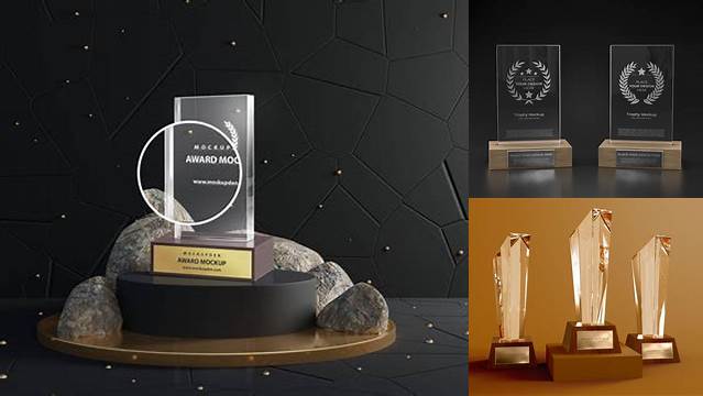 6699+ Award Mockup Creative High-Resolution PSD Freebie