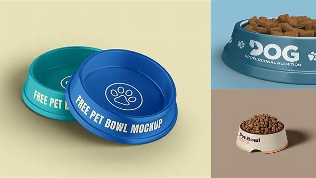 694+ Pet Bowl Mockup High-Resolution PSD Download