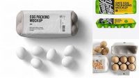 8942+ 12 Eggs Carton PSD Mockup Free Downloadable Graphic Resource