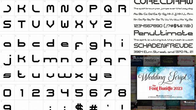 9082+ Coreldraw Fonts Pack Free Download Smart Object PSD Template