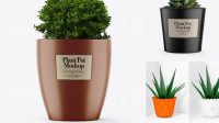 9404+ Glossy Plant Pot PSD Mockup Exclusive Layered PSD Mockup