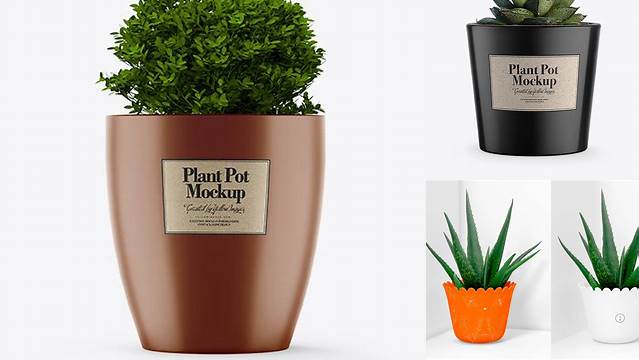 9404+ Glossy Plant Pot PSD Mockup Exclusive Layered PSD Mockup