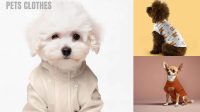 9707+ Dog Clothes Mockup Free Creative High-Resolution PSD Freebie